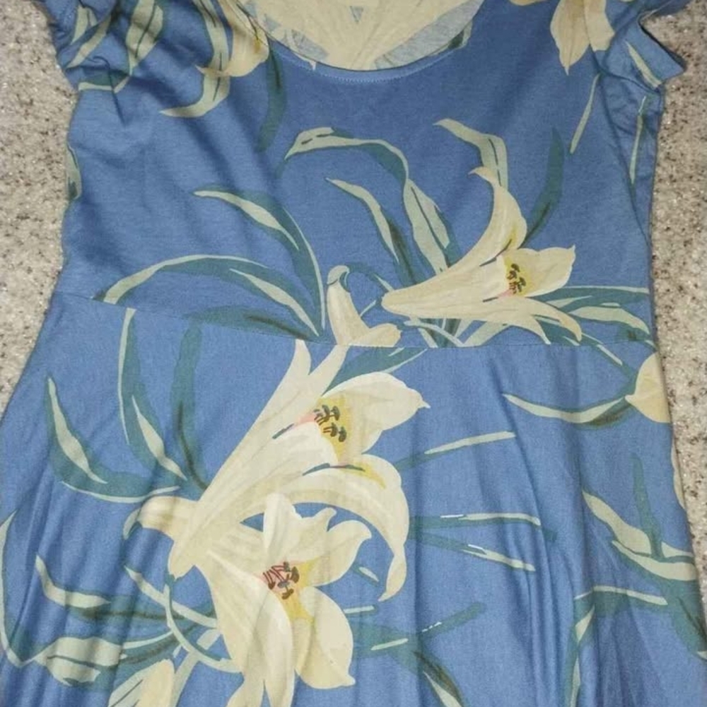 Chaps Blue Floral Dress